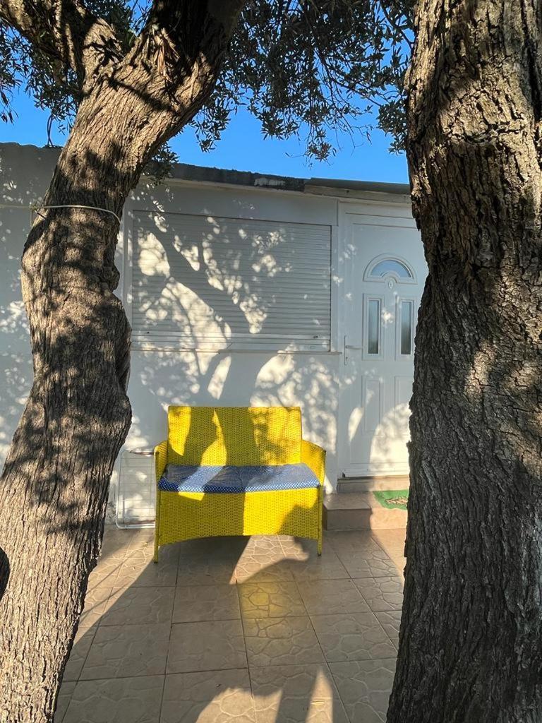 Apartment Greis Ražanj エクステリア 写真
